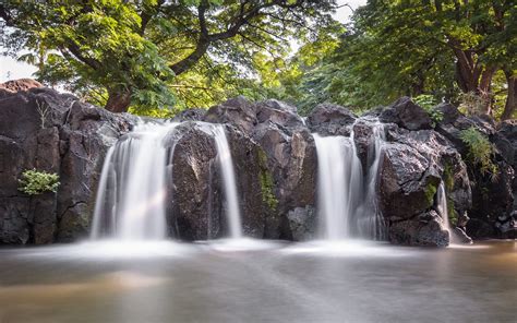 Grey Rock Waterfalls Near Green Leaf Tree During Daytime Hd Wallpaper