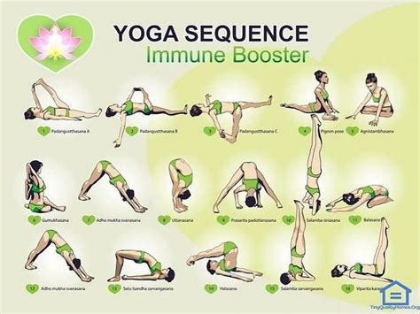 Yoga Healers On Instagram “yoga Tips 😇🧘 Immune Booster⭐️🌟 Follow