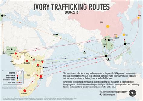 The Tangled Routes Of Global Elephant Ivory Trafficking Eia