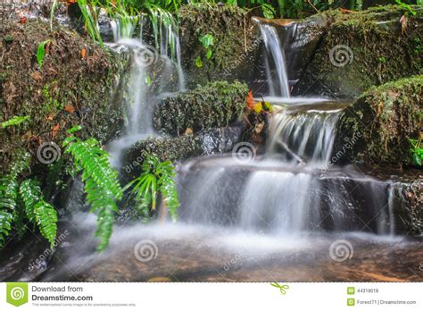 Waterfall And Rocks Covered With Moss Stock Photo Image Of Stream