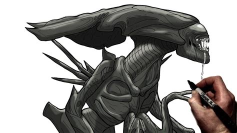 How To Draw Queen Xenomorph Step By Step Alien Youtube