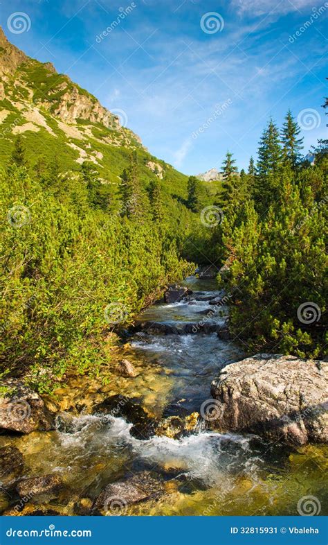 Mountain River In High Tatras In Slovakia Stock Image Image Of