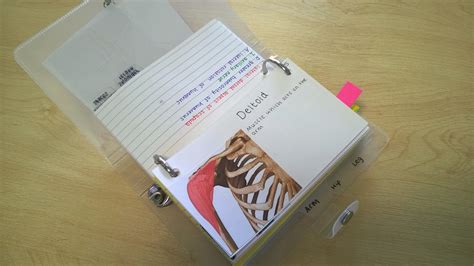 Anatomiczny: Zrób to sam: fiszki