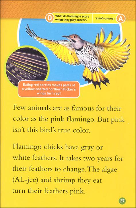 Animals That Change Color National Geographic Readers Level 2