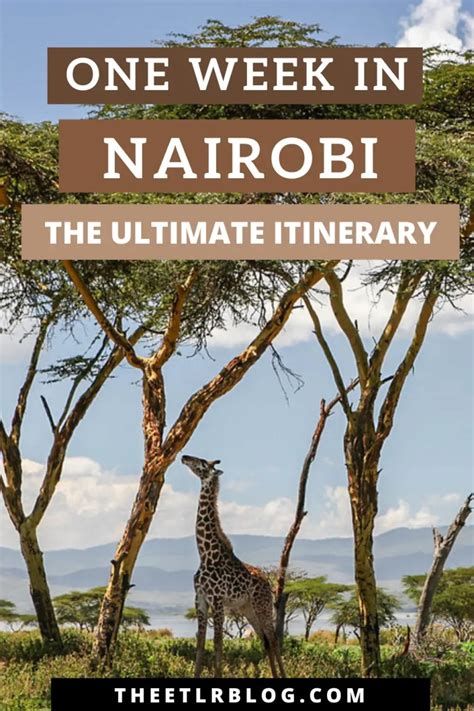 The Best Of Nairobi In 7 Days A Travel Itinerary And Guide Magical Kenya