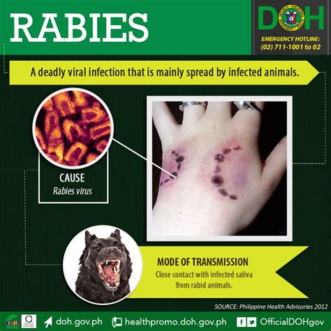 Rabies1 Outbreak News Today