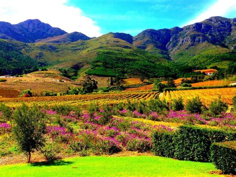 Why You Should Visit Franschhoek Franschhoek South Africa Wine Oh