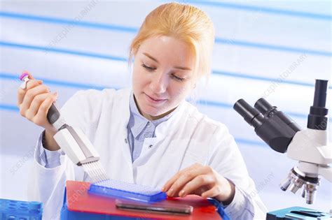 Lab Assistant In Lab Stock Image F0114477 Science Photo Library