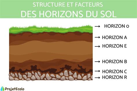 Horizon Du Sol D Finition Structure Et Facteurs