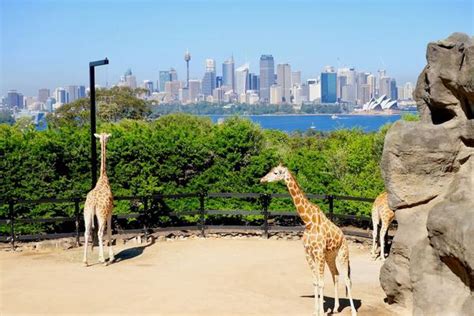 Panoramic Vantage Points In Sydney Australia E Lyn Tham