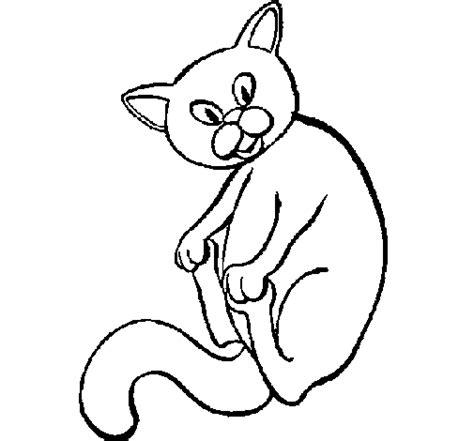kitten coloring page coloringcrewcom