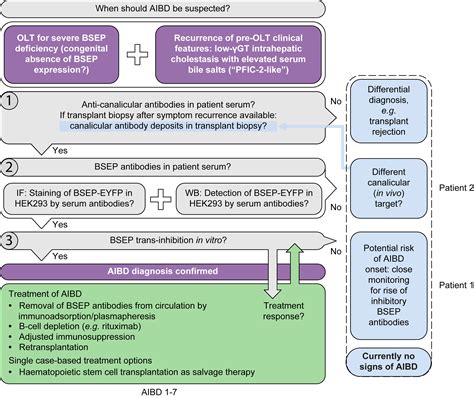 Cell-based BSEP trans-inhibition: A novel, non-invasive test for
