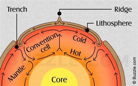 Convection Cell
