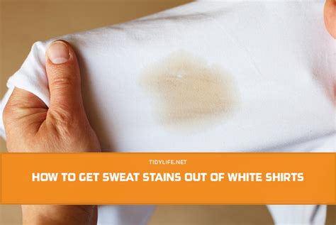 How To Get Sweat Stains Out Of White Shirts Tidylife
