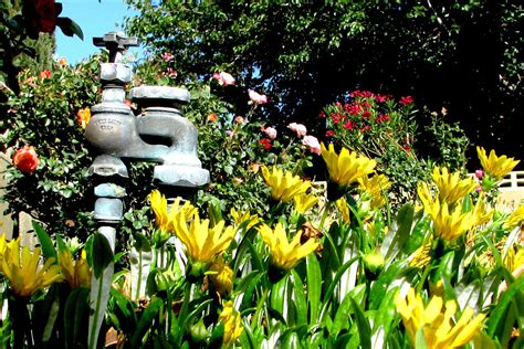 Lawn watering, how long, rules for drought conditions, how much, best time, new lawns, irrigation equipment, water distribution, water efficient lawn. How to Find Lawn Sprinkler Irrigation Valves