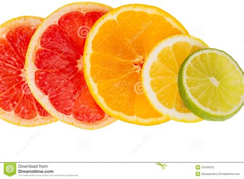 Orange Slices Stock Photo Image Of Tropical Healthy 47544070