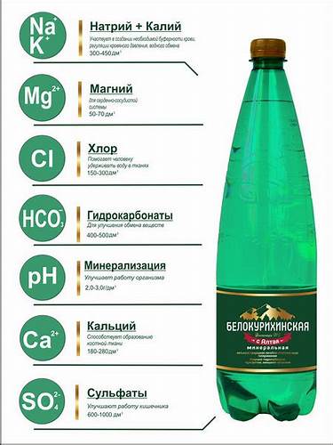 Отзывы восточная диета Белокурихинская Восточная №2 Вода минеральная лечебно-столовая Белокурихинская Восточная №2 Вода минеральная лечебно-столовая Отзывы восточная диета