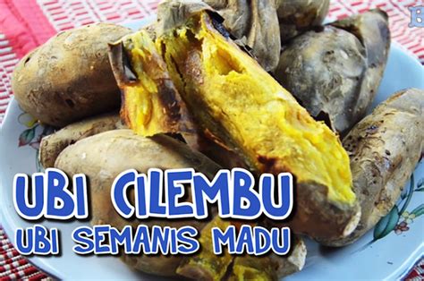 Mengapa Ubi Cilembu Rasanya Manis Dan Beda Dari Ubi Lain