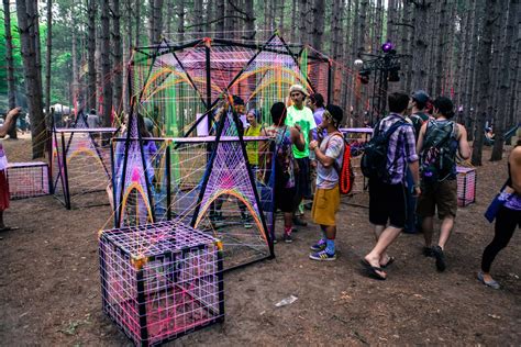 Awasome Electric Forest Art Installations Ideas