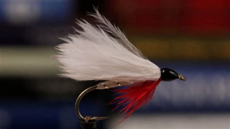 Cb Stocker Streamer Pattern Fly Fishing Reporter