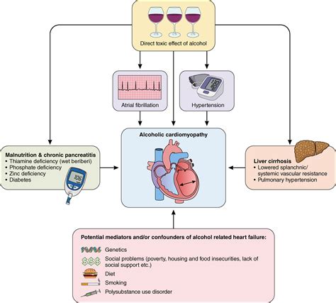 Alcohol Intake In Patients With Cardiomyopathy And Heart Failure