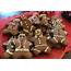 Holiday Cookies Classic Gingerbread People  Marin Mommies