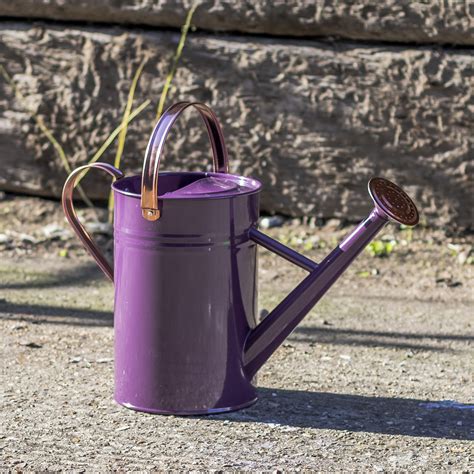 Woodside 45l Metal Garden And Plant Watering Can With Rose Ebay