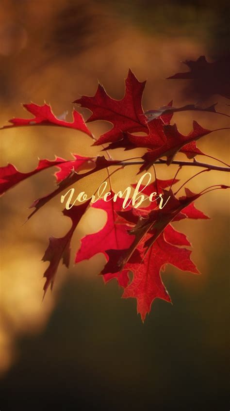 Iphone November Wallpapers Kolpaper Awesome Free Hd Wallpapers