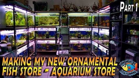 Making My New Ornamental Fish Store Aquarium Store Part 1 Youtube