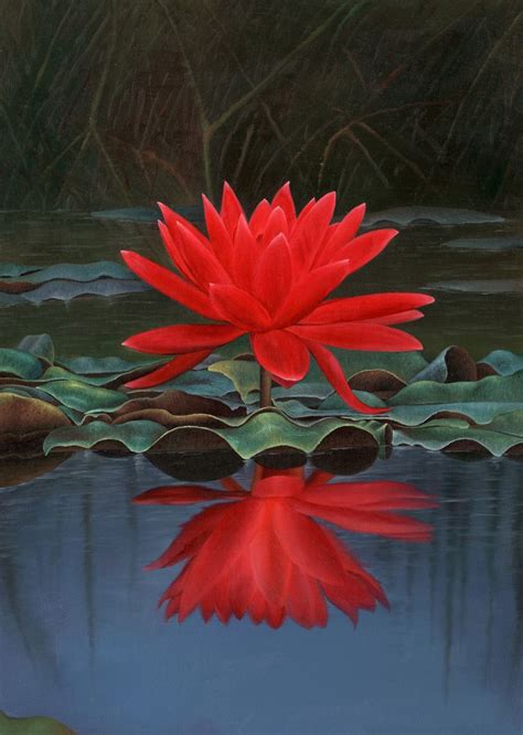 Top Real Lotus Flower Image Top Collection Of Different Types Of