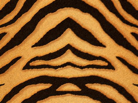 Tiger Print Fur And Skin Texture Free Fabric Textures For Photoshop