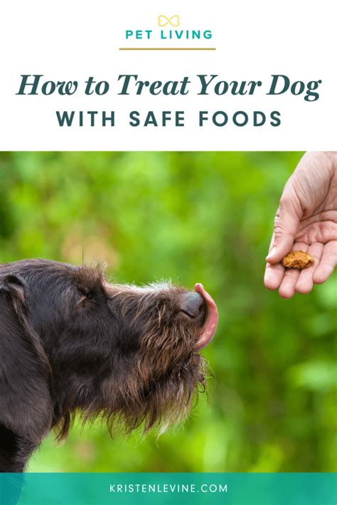 How To Treat Your Dog With Safe Foods