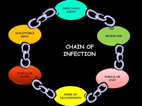 Chain Of Infection Ppt