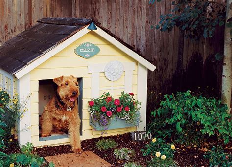 How to Landscape a Dog-Friendly Garden - Sunset Magazine