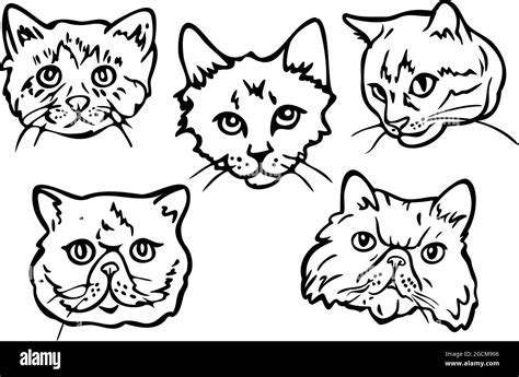 Ilustración Vectorial Con Contornos De Diferentes Caras De Gatos