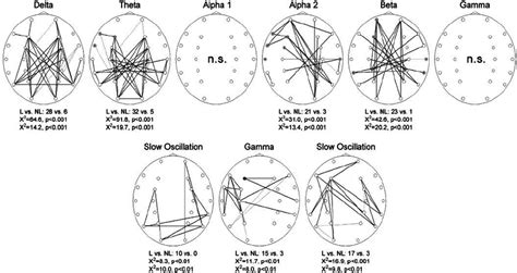 Coherence Maps During Task Performance Before Sleep In The Classical