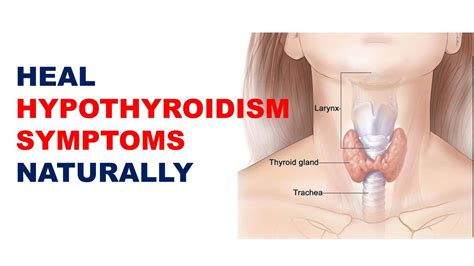Cure Hypothyroidism Symptoms In Women Heal Symptoms Of Underactive