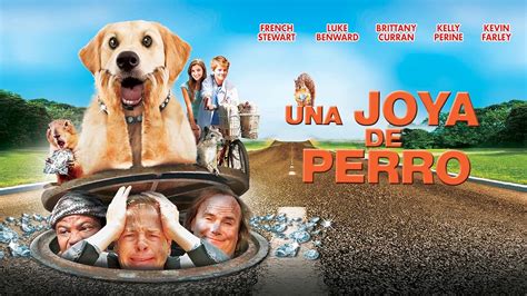 Prime Video Una Joya De Perro Spanish Diamond Dog Caper