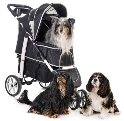 5 Best Dog Buggies Uk Ultimate Guide And Top Recommendations