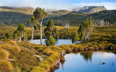 Tasmania Australia Lake Mountain Grass Trees Water Shrubs