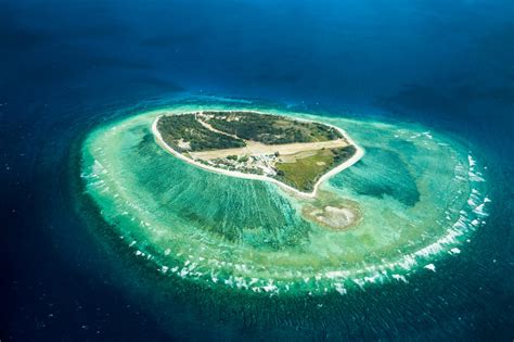 Lady Elliot Island Things You Didnt Know Queensland