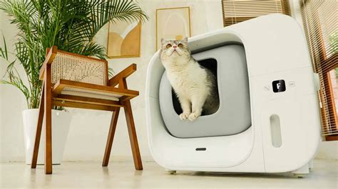 Gadget Flow On Twitter The Furbulous Self Pack Cat Litter Box