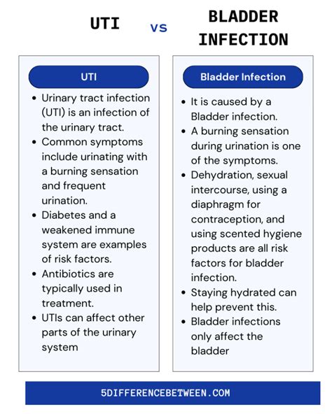 5 Difference Between Uti And Bladder Infection Uti Vs Bladder Infection