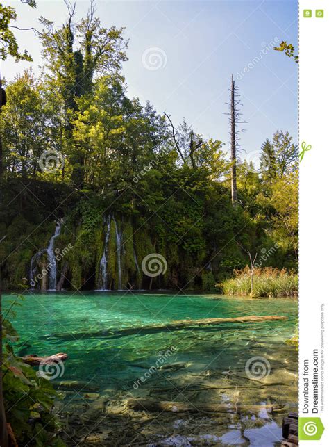 Turquoise Waterfall Stock Photo Image Of Grass Landmark 75704298