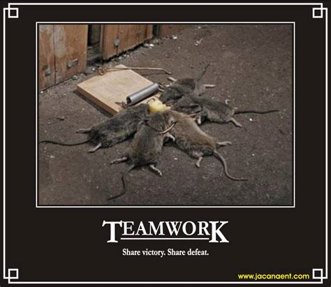 Teamwork Office Funny Quotes Quotesgram