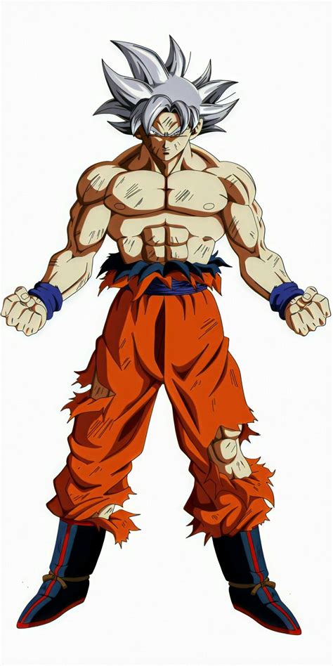 غوكو الغريزة الفائقة المكتملة Dragon Ball Art Goku Dragon Ball Image