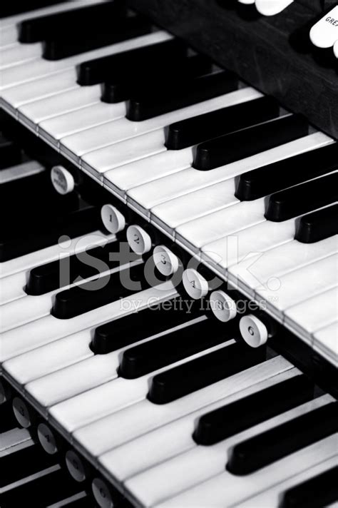 Organ Keys Stock Photo Royalty Free Freeimages