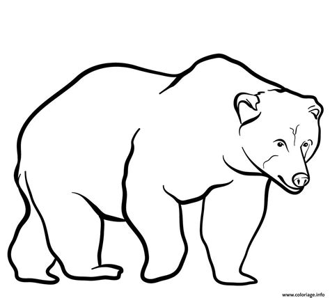 Coloriage Brown Bear Dessin Animaux Sauvages Imprimer