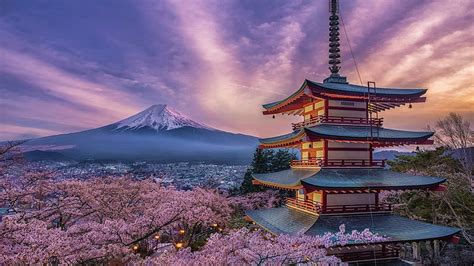 2736x1824px Free Download Hd Wallpaper Religious Pagoda Cherry