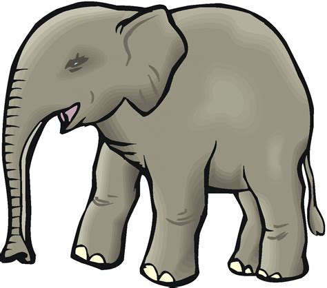 Lunch Clipart Pictures Of Elephants